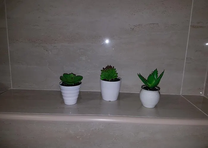 아파트 Kristal 즐라티보